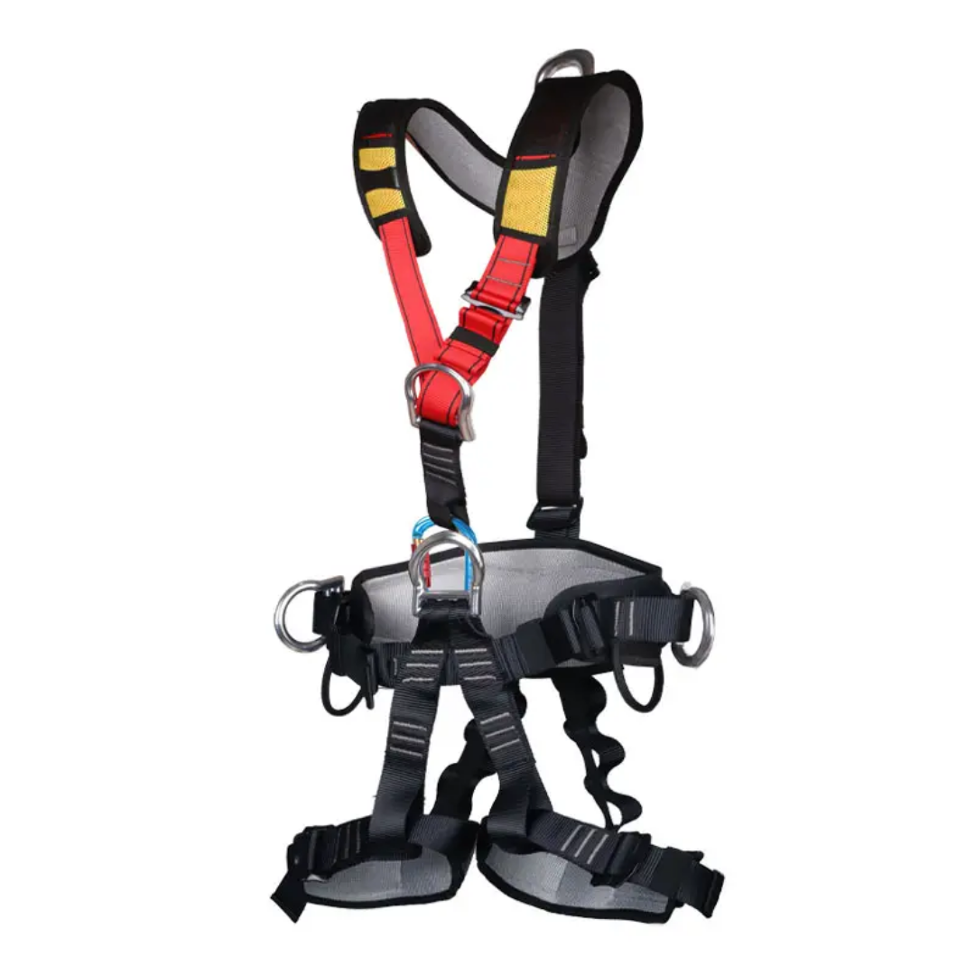 Harness
