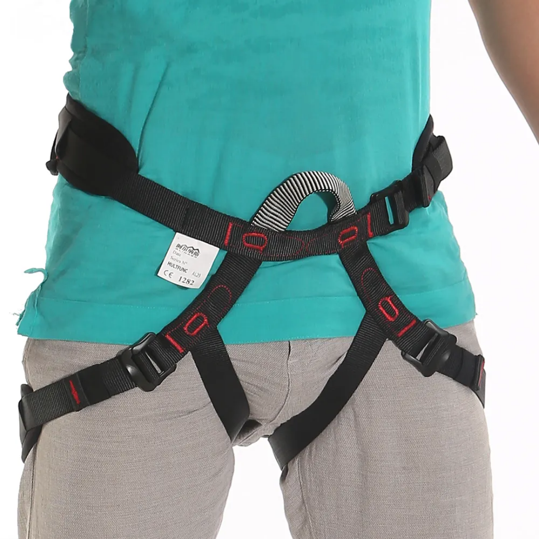 Xinda Padded Seat Harness